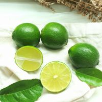 Vietnam Seedless Lime for Export – High Juice, No Seeds