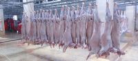 Chilled Mutton By Air