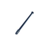 Ball-headed Cannulated Screw