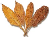 Virginia Flue-Cured (VFC) Tobacco