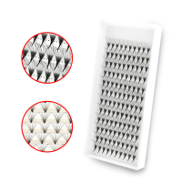 5D/6D/6D/7D/8D/9D