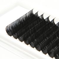 12Rows Individual Eyelash C/D/dd