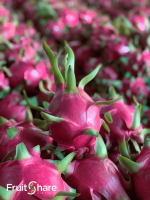 White Dragon Fruit