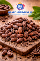 Premium Cocoa Beans