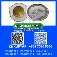 High Purity PM.K CAS 28578