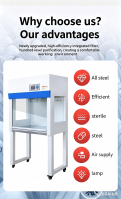 Custom Clean Bench Laminar Flow Hood