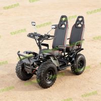 6000w 60v 2-seater Electric Atv