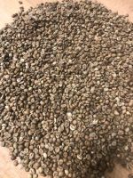 Robusta Coffee Beans
