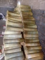 Broom Grass