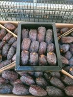 Dates
