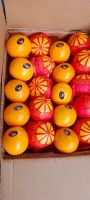 Premium Fresh Valencia Orange