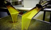 Extracts Olive Oil Edible Olive Oil