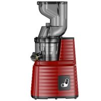 250W Cold Press Slow Juicer With