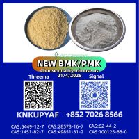 PMK CAS 28578-16-7 Unrestricted