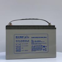 Lishi Battery DJM1280S LEOCH Valve Controlled