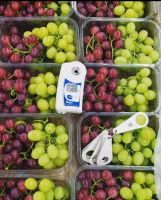 Fresh Premium Juicy Grapes From Egypt