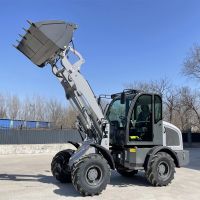 Fairly Used New Skid Loader Forestry