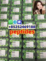 Semaglutide (910463-68-2): Revolutionizing Weight