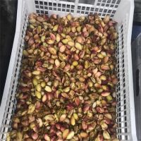 Premium Pistachio Nuts