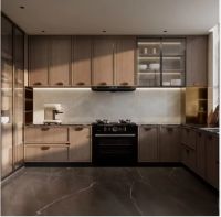 Modular Kitchen Cabinet