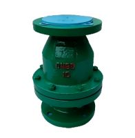 Fluorine Lined Swing Check Valve