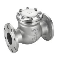 American Standard (ASME) Swing Check Valve