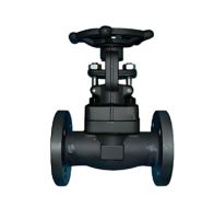 Flange Forged Steel Gate Valve