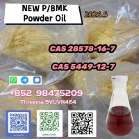NEW PMK BMK CAS 5449-12