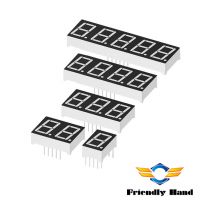 Customized  Seven Segment LED, 1 Digit