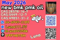 Best Price CAS 28578-16-7CAS