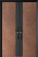 Non Standard Door Series Anti-theft