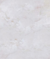 High Gloss Venetian Plaster Inorganic Texture