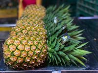 Fresh Pineapple
