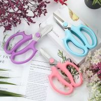 Colorful NonÃ¢ï¿½ï¿½Slip Handle Floral Scissors