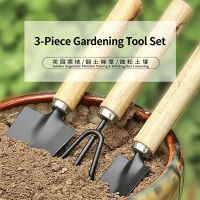 3 Pcs Wooden Handle Garden Hand