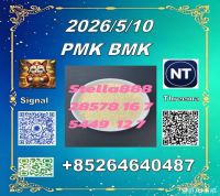 Precursors Cas 28578-16-7 P