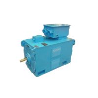High-Voltage Nema Motor