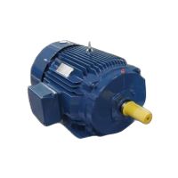 Nema Ultra-High-Efficiency Motor