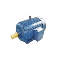Nema Ultra-Efficient Motor(40 And