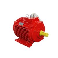 High-temperature Motor