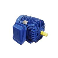 Nema Ultra-High-Efficiency Explosion-Proof