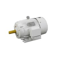 Nema D Motor Design