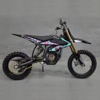 2026 Ultra Bee E-moto Bike