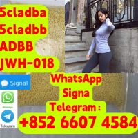 High Quality Cannabinoids 5cladba ,ADBB, 5cl