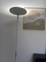 Haishibao Smart LED Floor Lamp  RG0