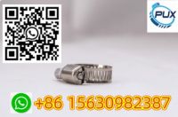 Free Sample 201/304 Hose Clamp