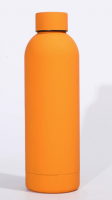 Insulated Flask