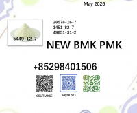 28578-16-7 New BMK 5449