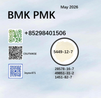 CAS 5449-12-7 and 28578-16-7 BMK PMK Powder factory supply with high quality