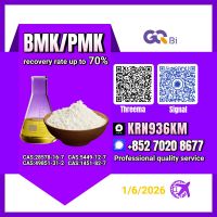 CAS:49851-31-2 BMK/PMK